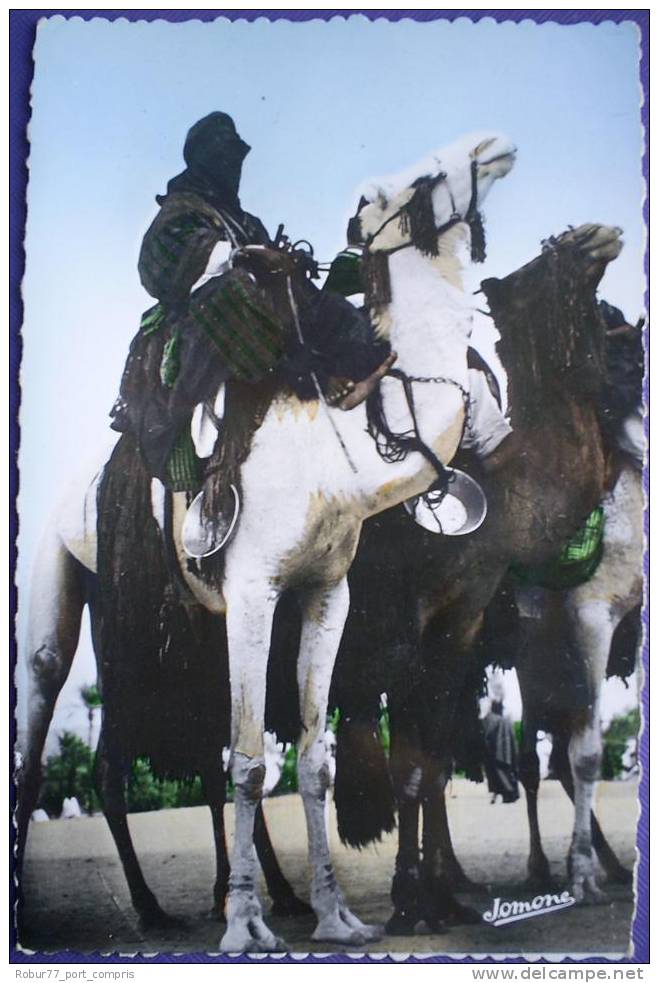 Carte Postale  ALGERIE - SCENES & TYPES - MEHARISTES A TAMANRASSET (Frais envoi France OFFERTS)