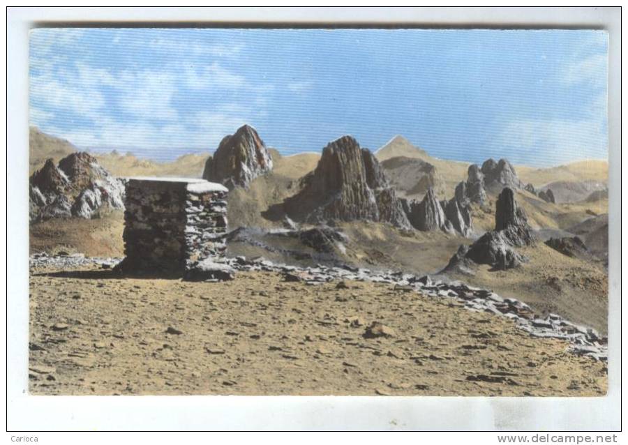 CPSM TAMANRASSET , AU 1er PLAN TABLE D ORIENTATION