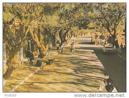 ALGERIA - AK 11399 Tamanrasset - Le Hoggar