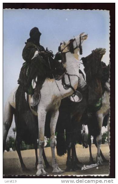 ALGERIE.....TAMANRASSET.. ..MEHARISTES...CPSM.... ECRITE....‹(•¿•)›.