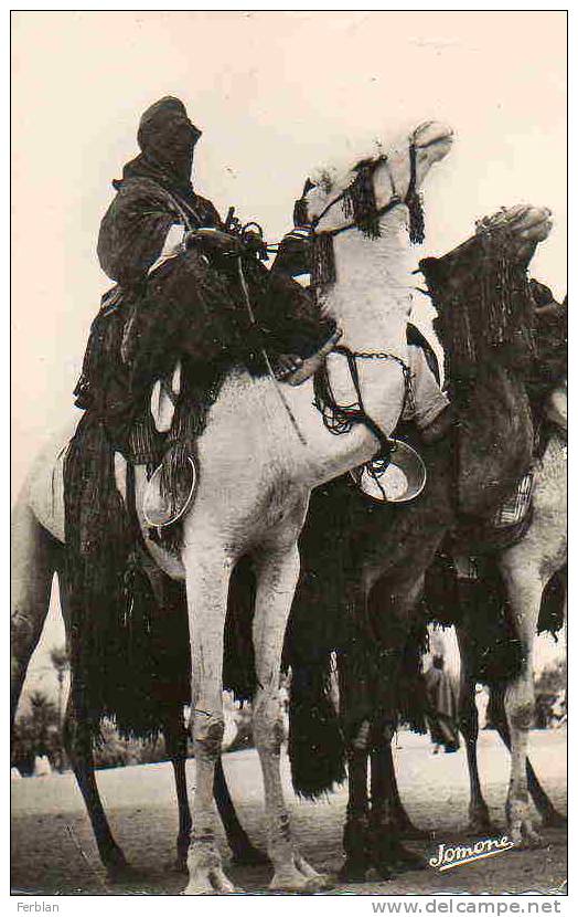 AFRIQUE. ALGERIE. TAMANRASSET. Vue sur Les Méharistes. Carte Dentelée.