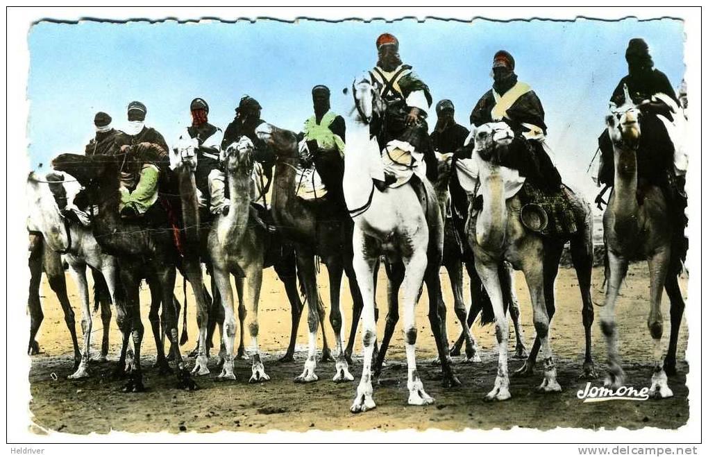 (197) Sahara Algerie Tamantasset Touaregs Dunes Mehari photo veritable