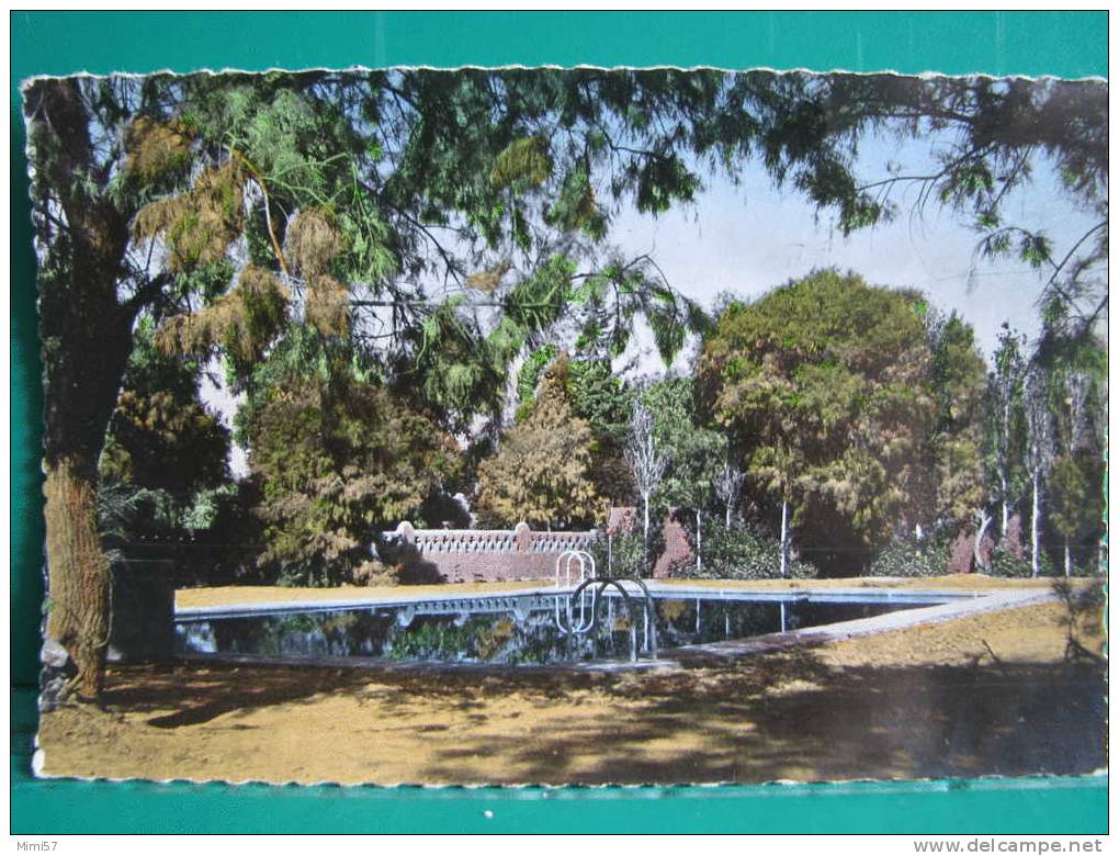 C.P.M. ALGERIE - TAMANRASSET - La Piscine