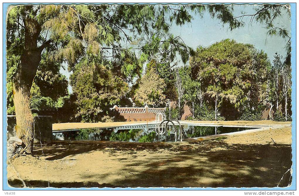 CARTE POSTALE 10 TAMANRASSET HOGGAR LA PISCINE