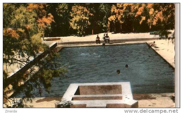 CARTE POSTALE DE TAMANRASSET - HOGGAR - LA PISCINE