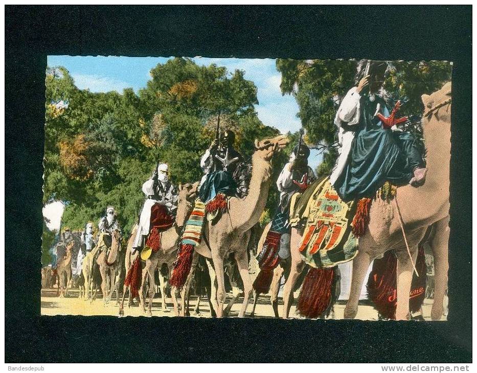 Algerie - Tamanrasset ( Hoggar) - Touaregs et Chambaas ( animée camel dromadaire tenue combat JOMONE 349 H format CPA)