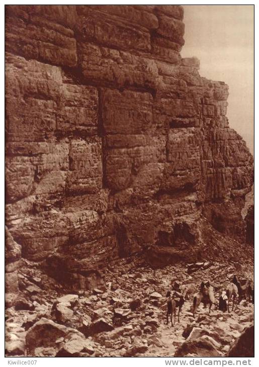 mission bruneau SAHARA FRANCAIS    gorges   asafao  pres de tassili  des azder  hoggar  djanet