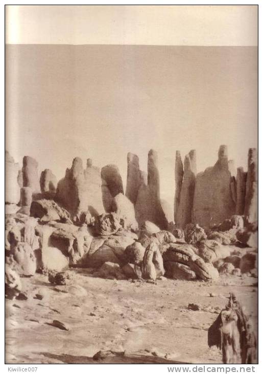 SAHARA ORIENTAL  col assakao   LES BLOCS DE GRES DE  TASSILI  DES AJJER    belle photo grand format