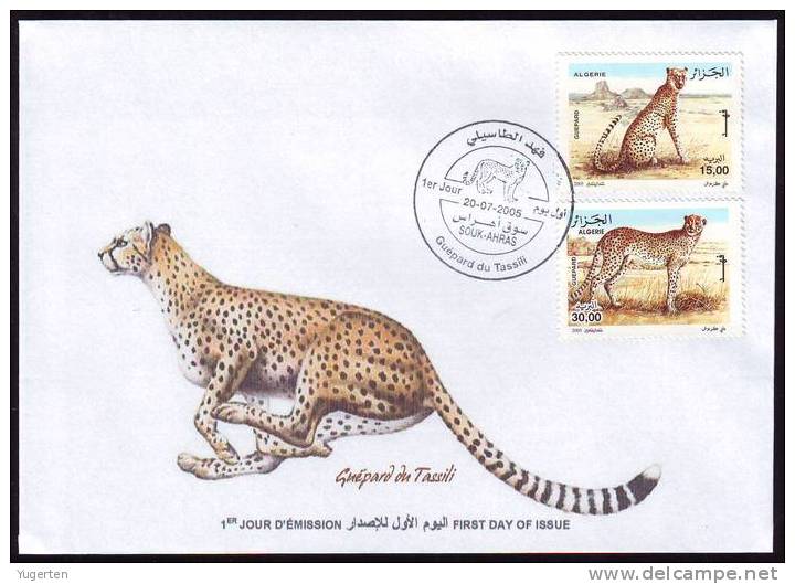 ALGERIE - 2005 - FDC - Guépard du Tassili
