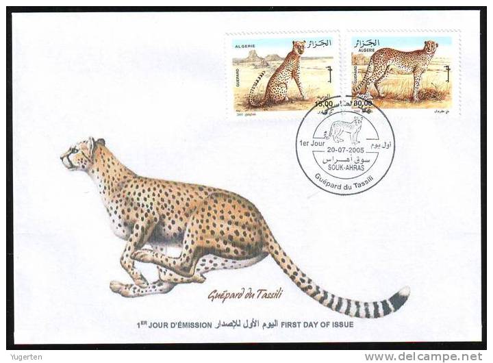 ALGERIE - 2005 - FDC - Guépard du Tassili