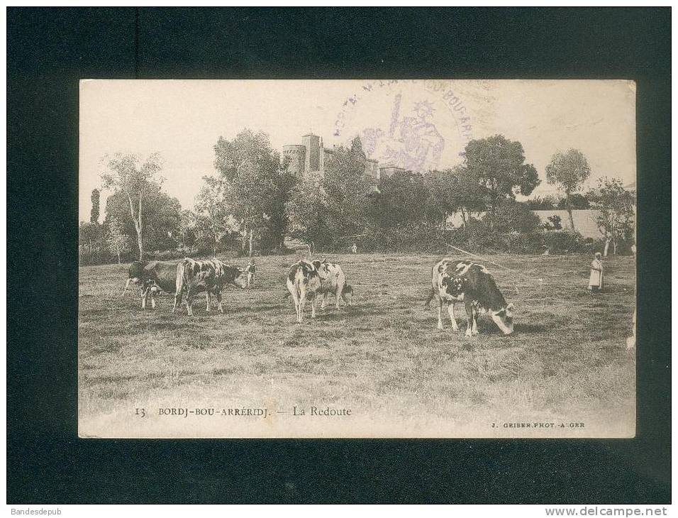 Algérie - Bordj Bou Arreridj - La Redoute ( animée vaches Phot. J. Geiser dest. Lina Wolf Levallois Perret) )