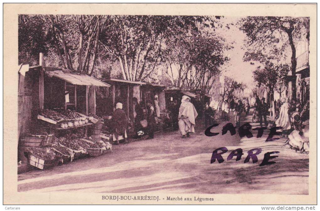 AFRIQUE,ALGERIE FRANCAISE,MAGHREB,BORDJ BOU ARRERIDJ,PLAINES MEDJANA,KABYLIE,PRES SETIF,1933,marché aux légumes