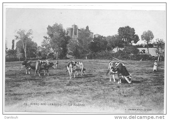 ALGERIE / FL / BORDJ BOU ARRERIDJ, La redoute, (troupeau), N° 13 J Geiser photo