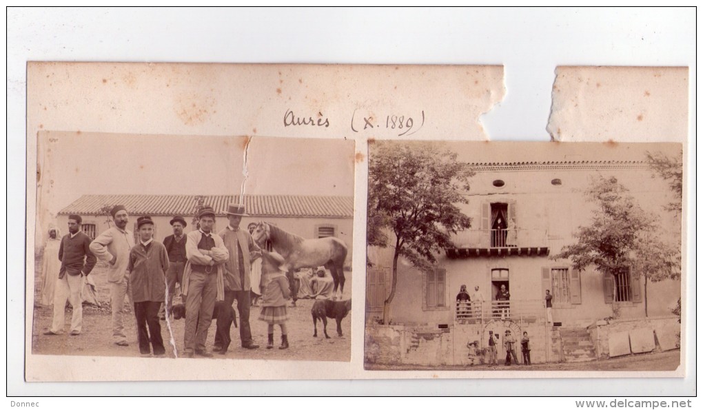Khenchela- Sedrata  ? ?   ( Aurès - Algérie ), lot 4  photographies (  X - 1889 )  ( free shipping )