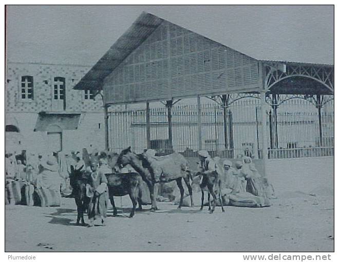 cpa  ALGERIE KHENCHELA  animée   HALLES AU GRAIN paysans mules anes , 1907  voir détails   ** Achat Direct **