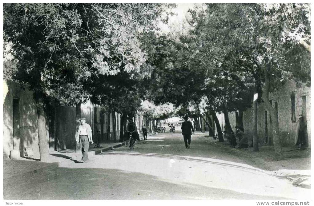 ALGERIE -  KHENCHELA - RUE DE LA POSTE