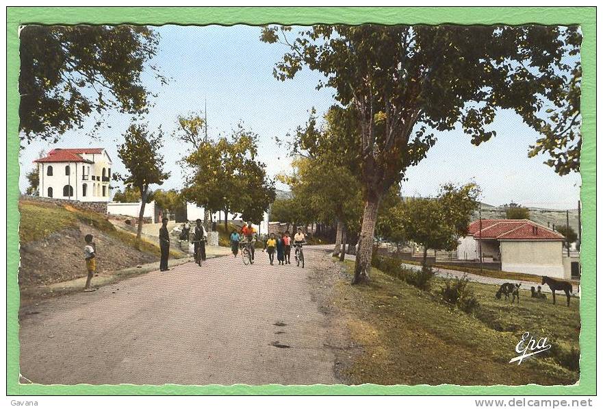 Khenchela - Route de Ain-Beida