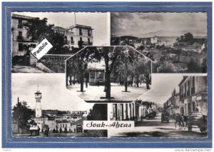 Carte Postale Algérie  Souk-Ahras très beau plan