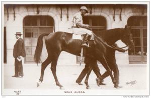 HIPPISME - Souk Ahras