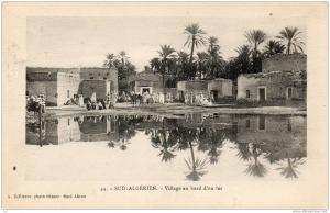 Afrique-ALGERIE- Sud Algérien - Village au bord d´un lac  (Bellisson photo éditeur Souk Ahras n° 47)
