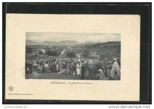 CPA Souk-Ahras, Le Marche aux Bestiaux