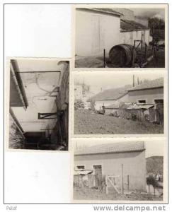 AIN-SEYNOUR arrondissement de Souk Ahras (Algerie) 4 Photos de maisons   (27992)