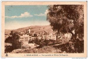 Souk-Ahras. Vue partielle et Olivier St-Augustin.