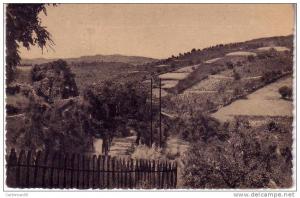 Algérie - Souk-Ahras (Constantine) - Un coin des environs de la ville