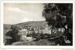Souk Ahras. (Algérie) Vue partielle et Olivier Saint Augustin. CPSM pt format . Peu courante.