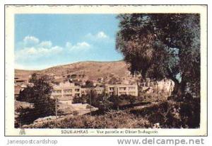 ALGER - SOUK-AHRAS Vue partial et OLIVIER St-AUGUSTIN - Algeria - FRENCH NORTH AFRICA