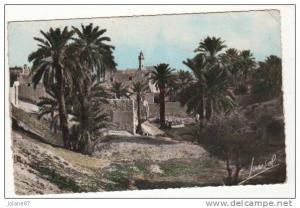 CPA   ALGERIE   PAYSAGE DU SUD    ECRITE PAR MILITAIRE DE SOUK AHRAS   EN 1962