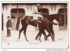 CHEVAL COURSE SOUK AHRAS