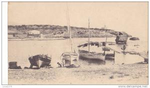 TIPAZA / LA PLAGE ET LE TOMBEAU PENCHE / RARE ET TRES JOLIE CARTE