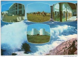 SOUVENIR DE TIPAZA-MATARES.CPM.MULTIV UES.