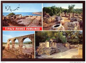 CPM neuve Algérie TIPAZA Ruines Romaines  Multi vues