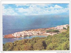 CPM 10*15/Y711/TIPAZA COMPLEXE TOURISTIQUE 1983