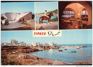 PORT GRATUIT    8350   TIPAZA