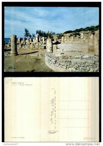 afrique-2532   tipaza algérie