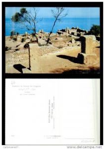 afrique-2530  tipaza algerie