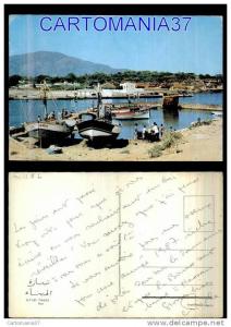 afrique-1386      algerie tipaza port