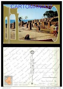 afrique-1382      algerie tipaza ruines romaines