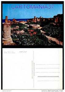 afrique-1061      algerie tipaza ruines