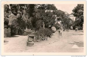 ALGERIE TIPASA ou TIPAZA . Parc Tremaux . Belle Cpsm   EPF , voyagée 1952