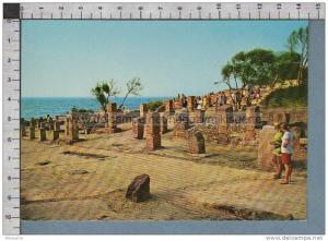 S495 ALGERIE TIPAZA RUINES ROMAINES scritta