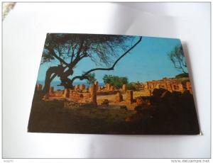 tipaza les ruines