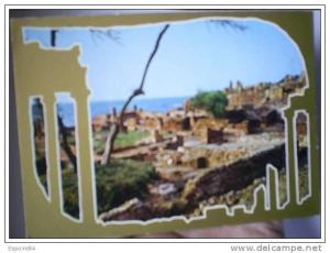 C. Postale  ALGERIE - TIPAZA - RUINES ROMAINES
