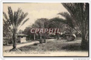 Algerie CPA Tipaza Parc de la Propriete Tremeaux
