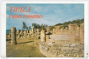 BR49847 Tipaza ruines romaines    2 scans