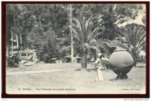 Cpa  Algérie Tipaza Parc  Trémaux la grande Amphore        EUG20
