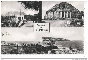 ALGERIE - Souvenir de TIPAZA